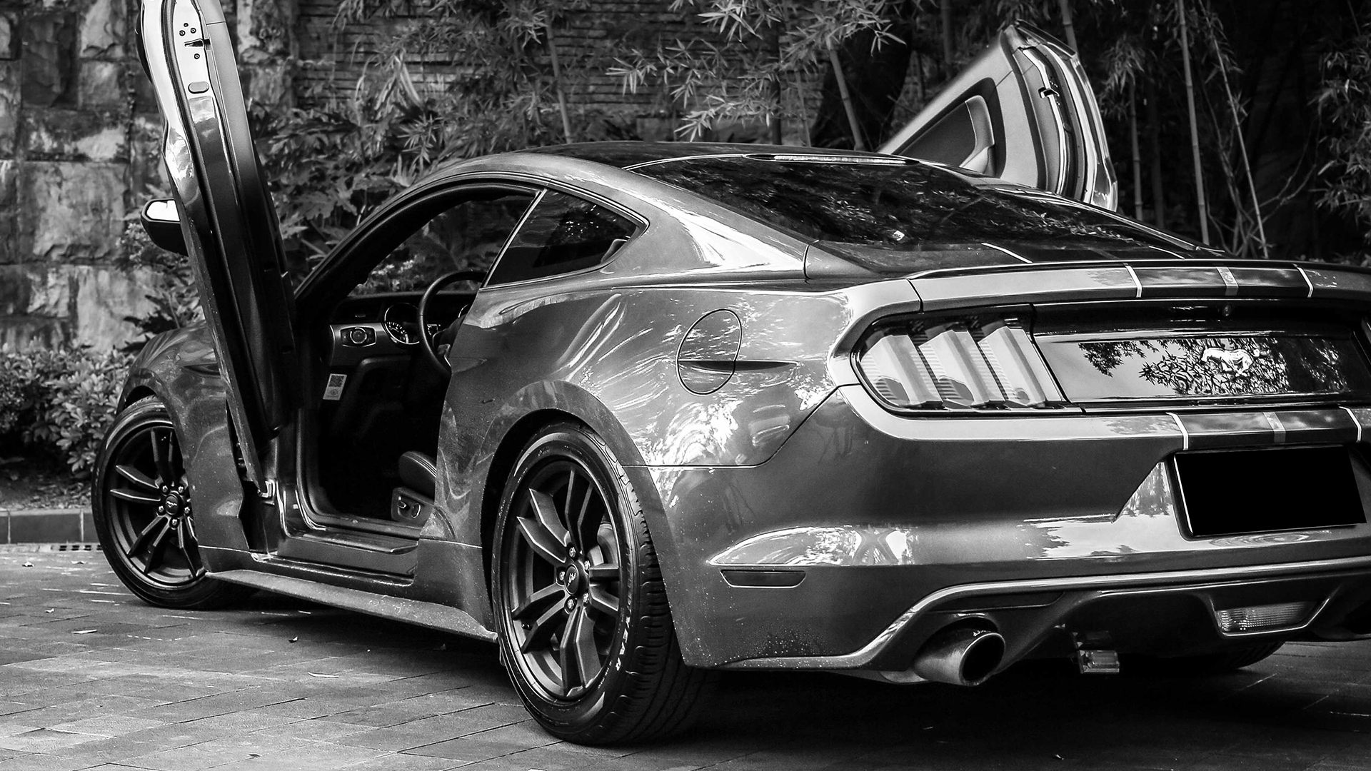 FORD MUSTANG 6GEN S550 // THE PAST DECADE